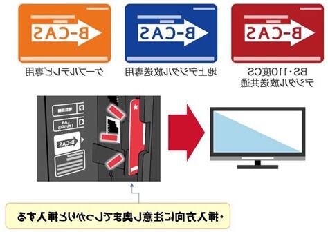 b開頭名牌