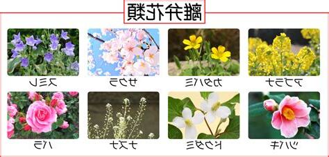 花類