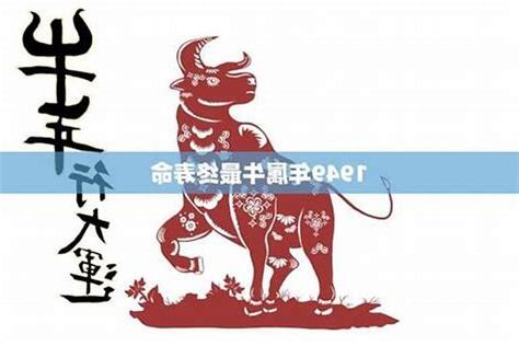 1997年是什么生肖