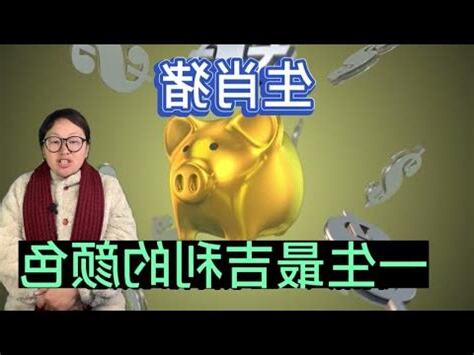 屬豬適合的顏色