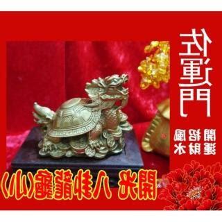 龍龜開光