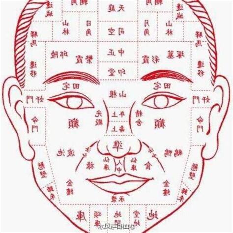 扣頭面相