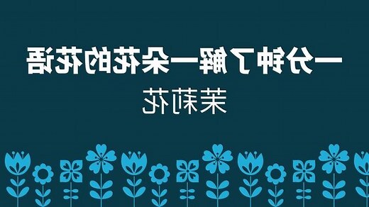 茉莉花的寓意