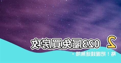 2023屬兔買房