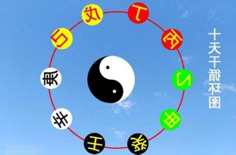 戊己