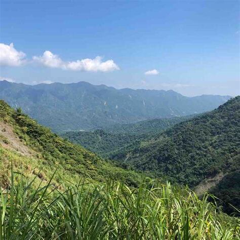 西阿里關山