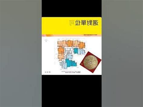 白石角九運
