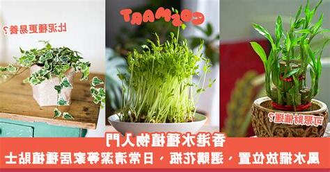 香港水種植物