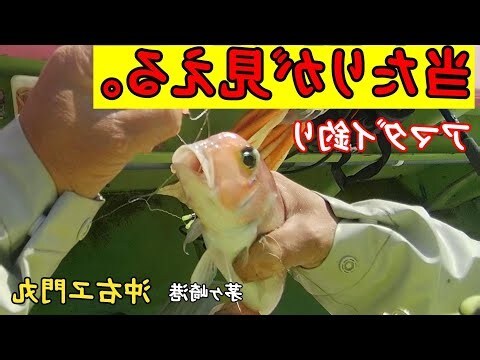 門沖