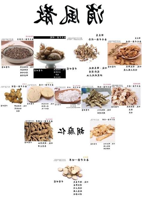 消風散禁忌