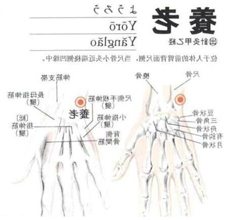 老人穴