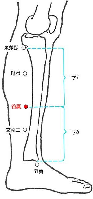 漏穴
