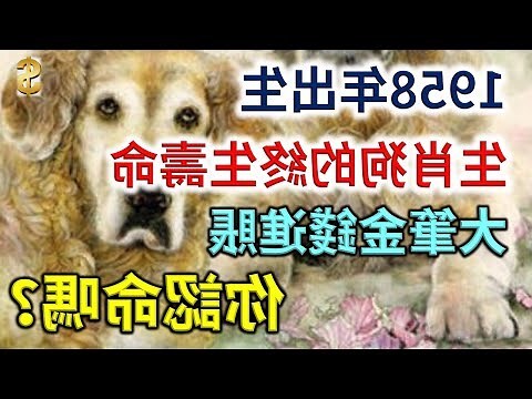壬戌年狗