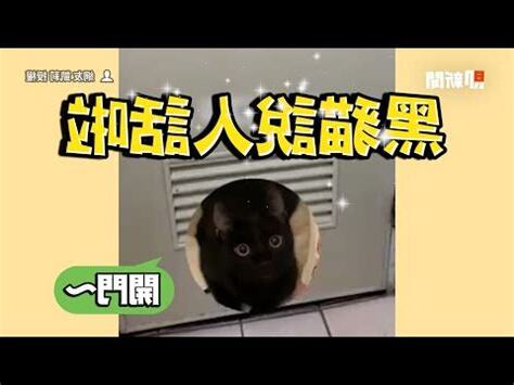 黑貓會