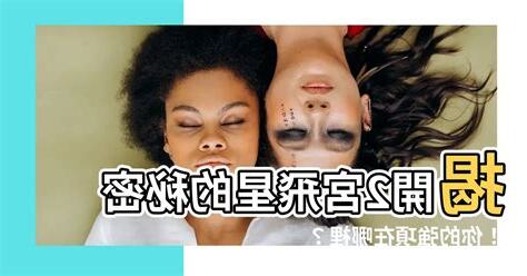 宮位飛星怎麼看