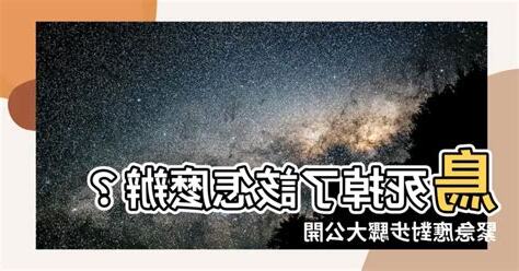 鳥突然死掉