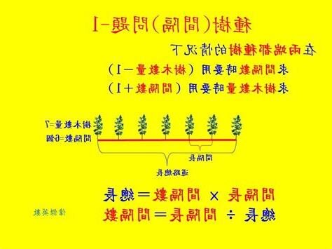 種樹問題