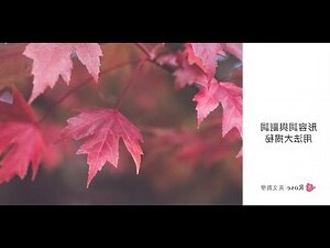 形副同形口訣