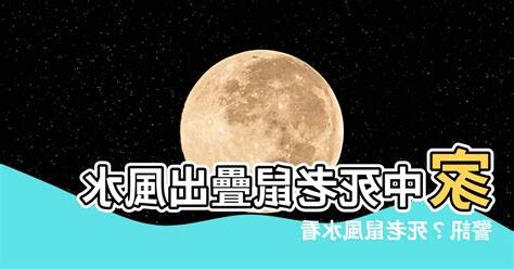 死老鼠風水