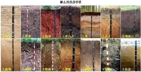 土壤顏色
