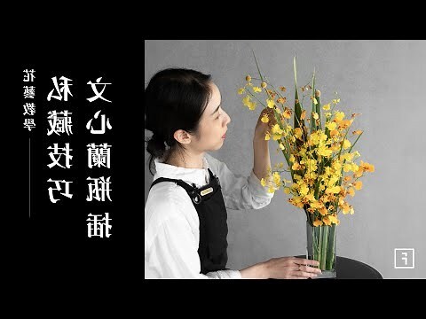 文心蘭插花