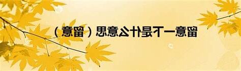 留意意思