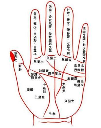 手相大全