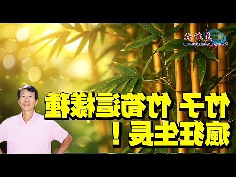 竹子怎麼種
