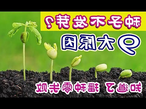 種種原因