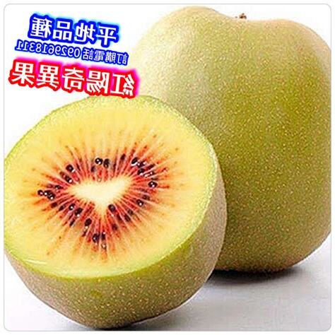 奇異果盆栽
