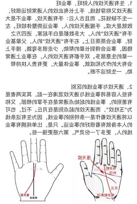通天紋玉柱紋