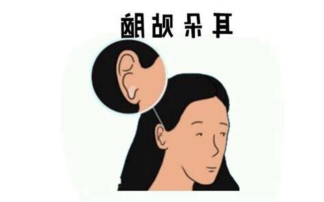 耳朵貼腦的女人