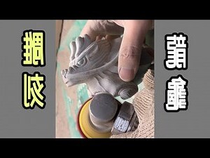 龍龜種類