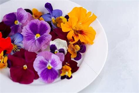可食用花