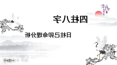 日柱己卯