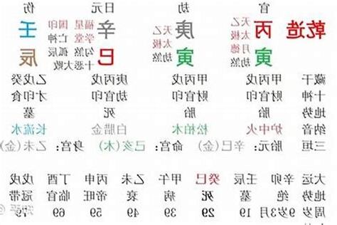 辛丑五行