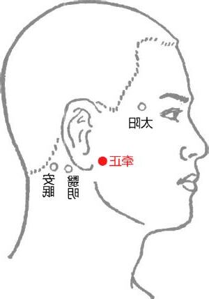 牽正穴