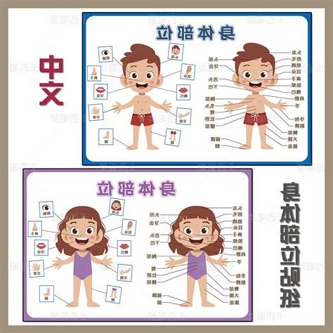 身體部位圖
