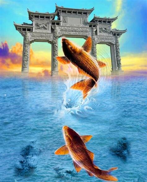 鯉魚躍龍門風水