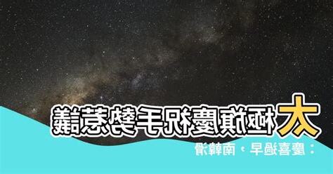 太極旗慶祝手勢