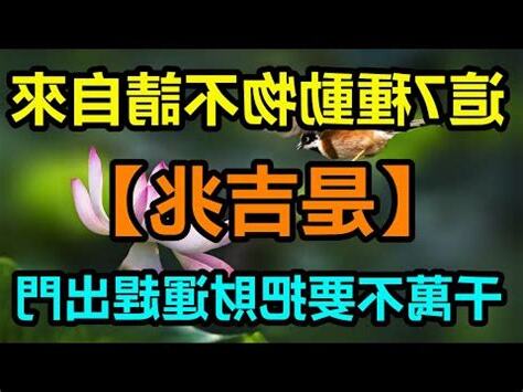 象徵財富的動物