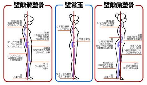 後入姿勢