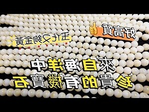 金絲硨磲功效