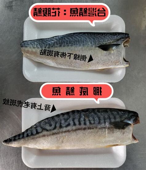 魚有幾種