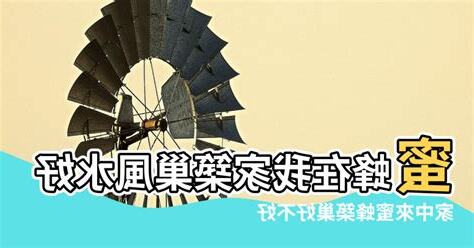 蜜蜂窩風水