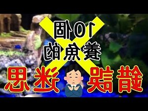 魚死了怎麼辦