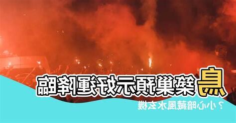 鳥築巢意思