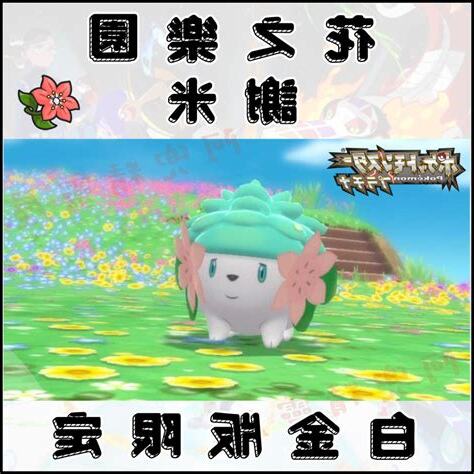 謝米色違
