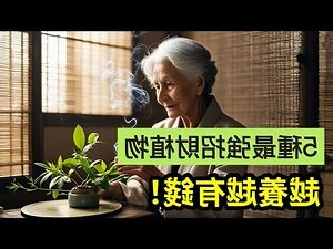 開店招財植物