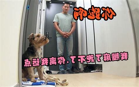 真正意义上的母狗